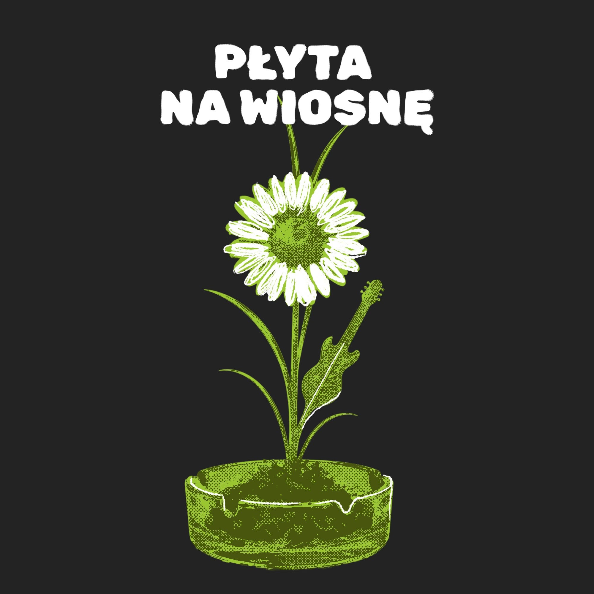 Płyta na Wiosnę
